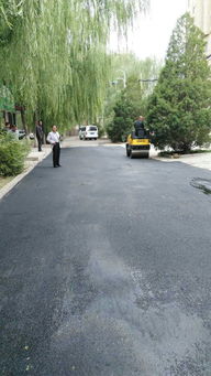 市政工程管理處 集中養(yǎng)護(hù)，筑牢城市運(yùn)行基石